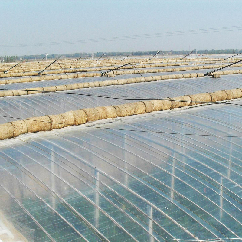 抗霧化、抗滴流 塑之寶 SP-3型