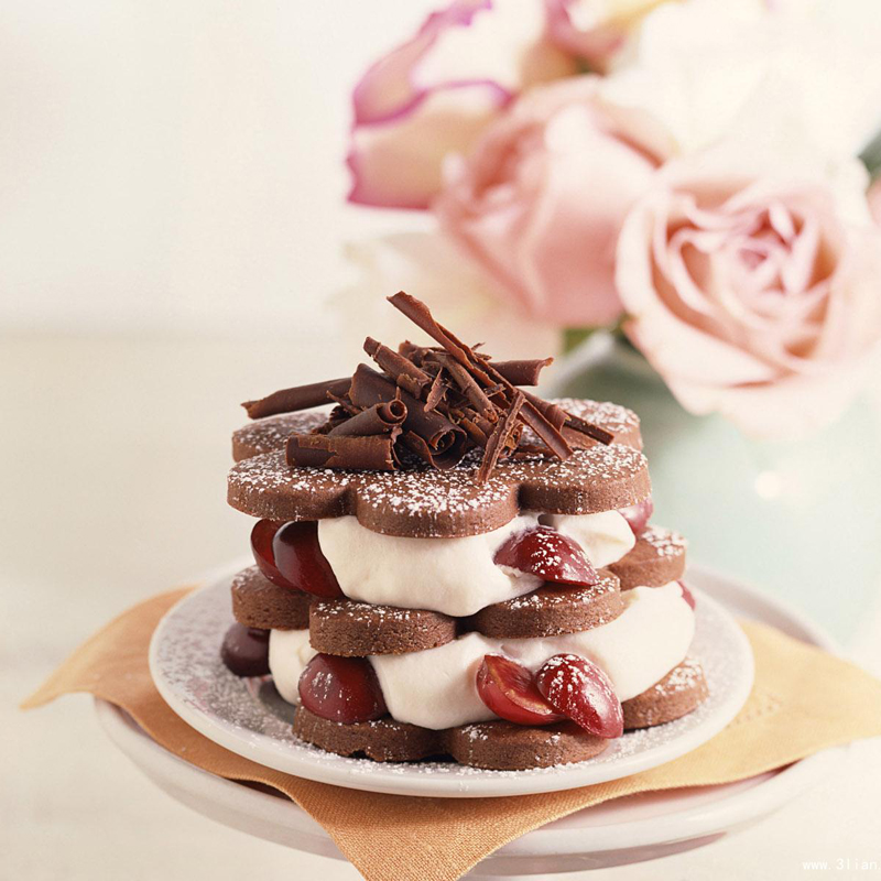 蛋糕起泡劑 SF-2型