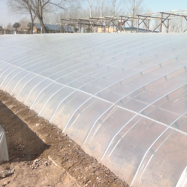 抗霧化、抗滴流 塑之寶 SP-3型